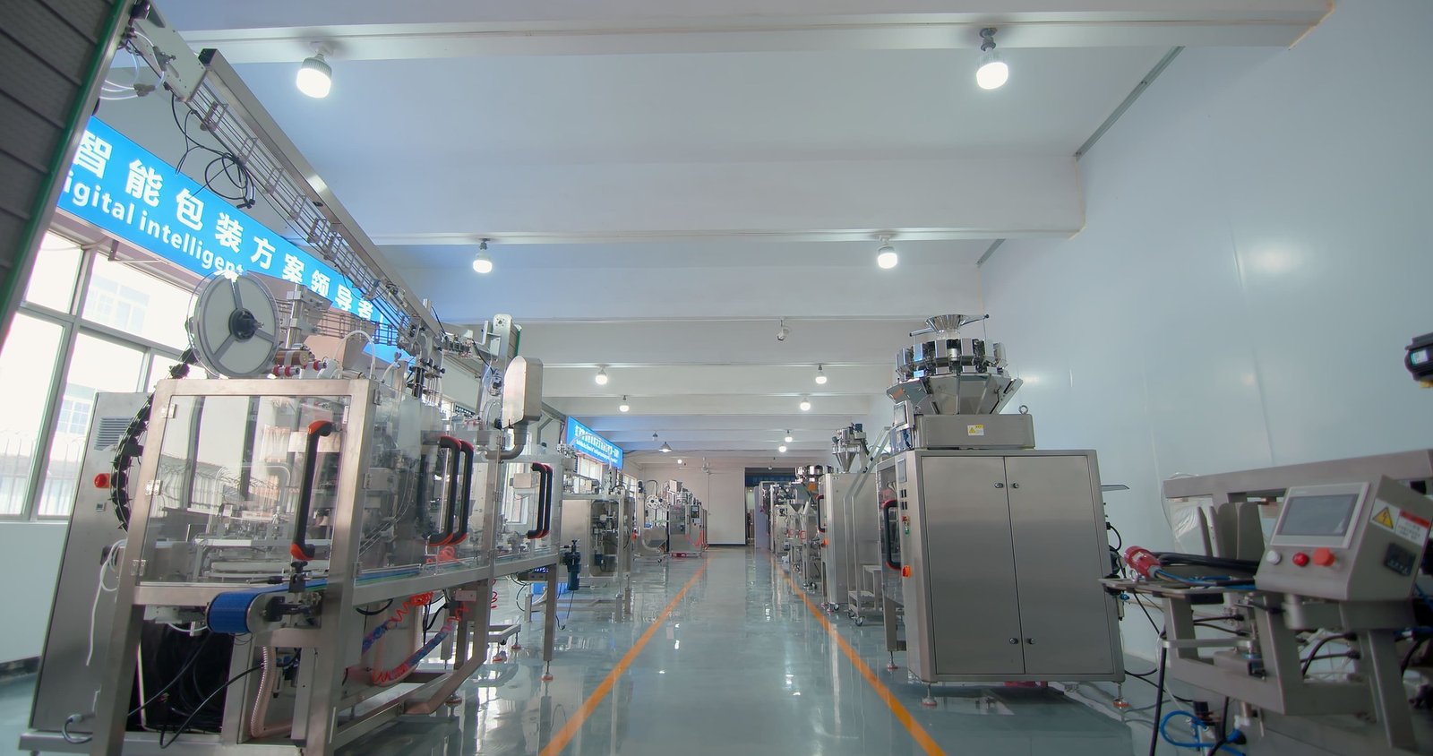 Final Packaging Conveyor