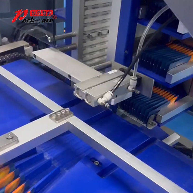 pl207583006-automatic_multi_lane_powder_sachet_packing_machine